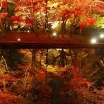 曽木公園もみし?ライトアッフ?