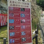 名古屋の『しだれ梅まつり』に土岐市観光協会、参戦中