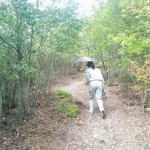 「陶史の森」で羊の毛刈りがありました。