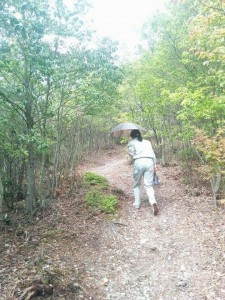 「陶史の森」で羊の毛刈りがありました。