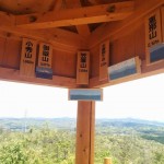 「陶史の森」で羊の毛刈りがありました。