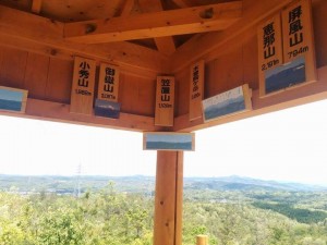 「陶史の森」で羊の毛刈りがありました。