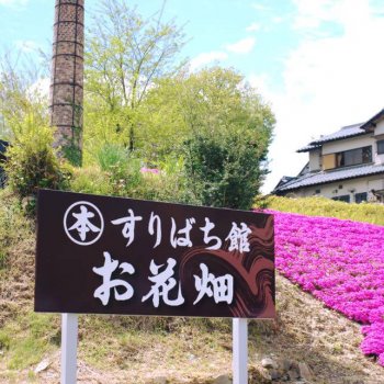 南楽窯 すりばち館