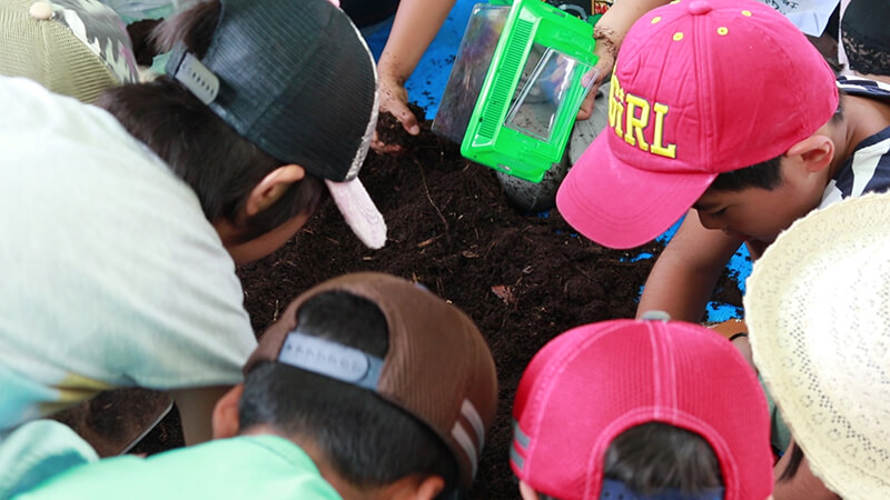 カブトムシ観察会が開催されました | 土岐高山城跡の森 「里山わいわい広場」