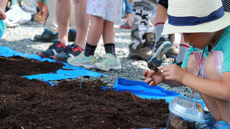 カブトムシ観察会が開催されました | 土岐高山城跡の森 「里山わいわい広場」