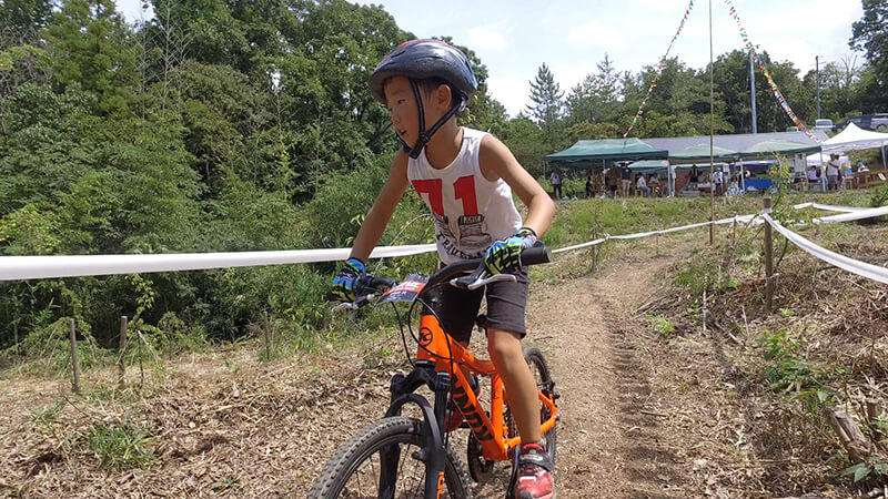 真夏の森のフェスティバル 土岐高山城跡の森 「里山わいわい広場」