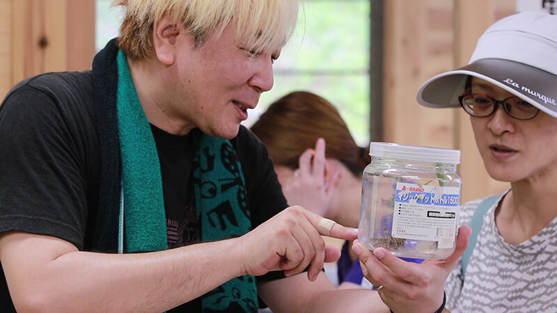 真夏の森のフェスティバル 土岐高山城跡の森 「里山わいわい広場」