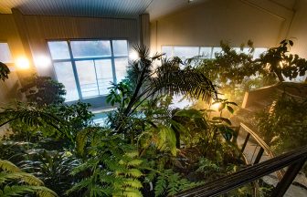 柿野温泉 八勝園湯元館