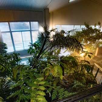 柿野温泉 八勝園湯元館