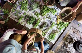 野草ワークショップ終わりました。