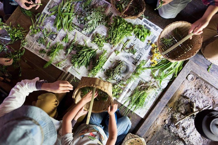 野草ワークショップ終わりました。