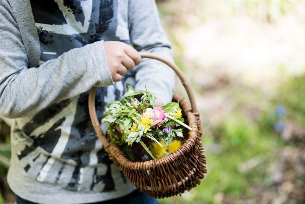 野草ワークショップ終わりました。