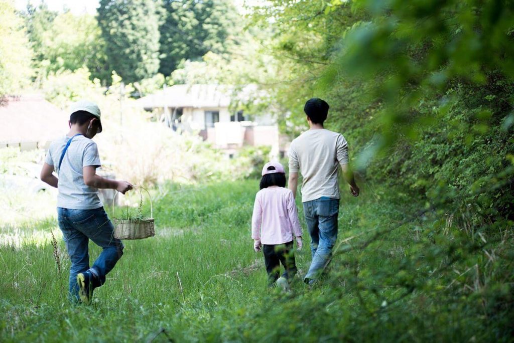 野草ワークショップ終わりました。