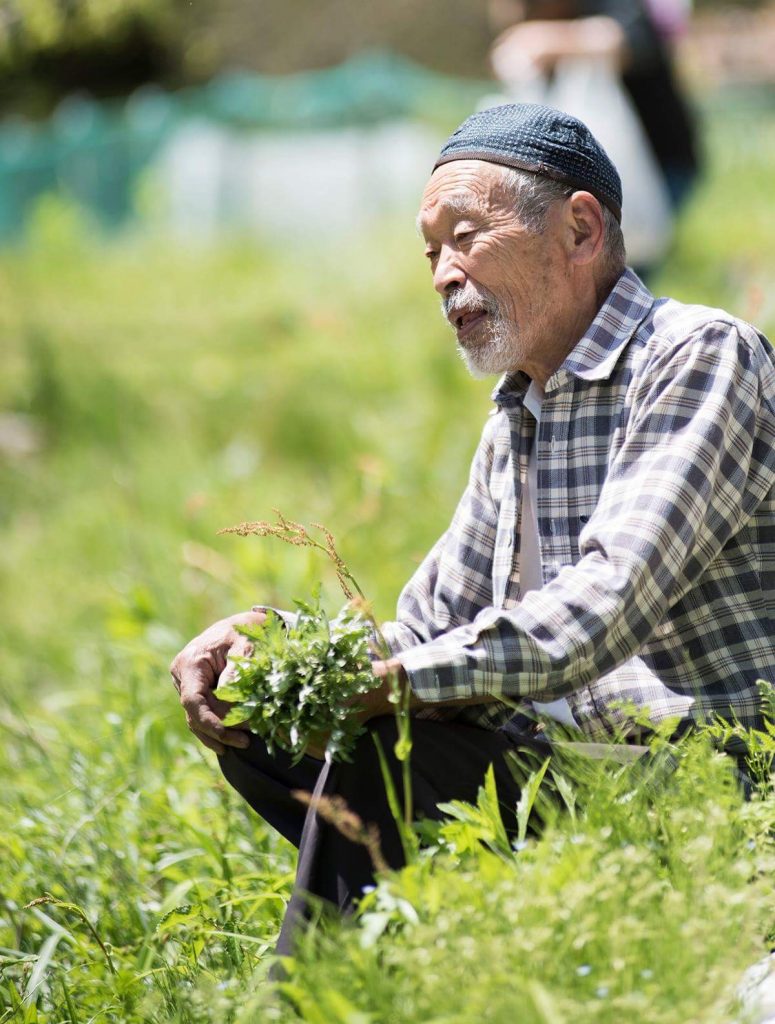 野草ワークショップ終わりました。