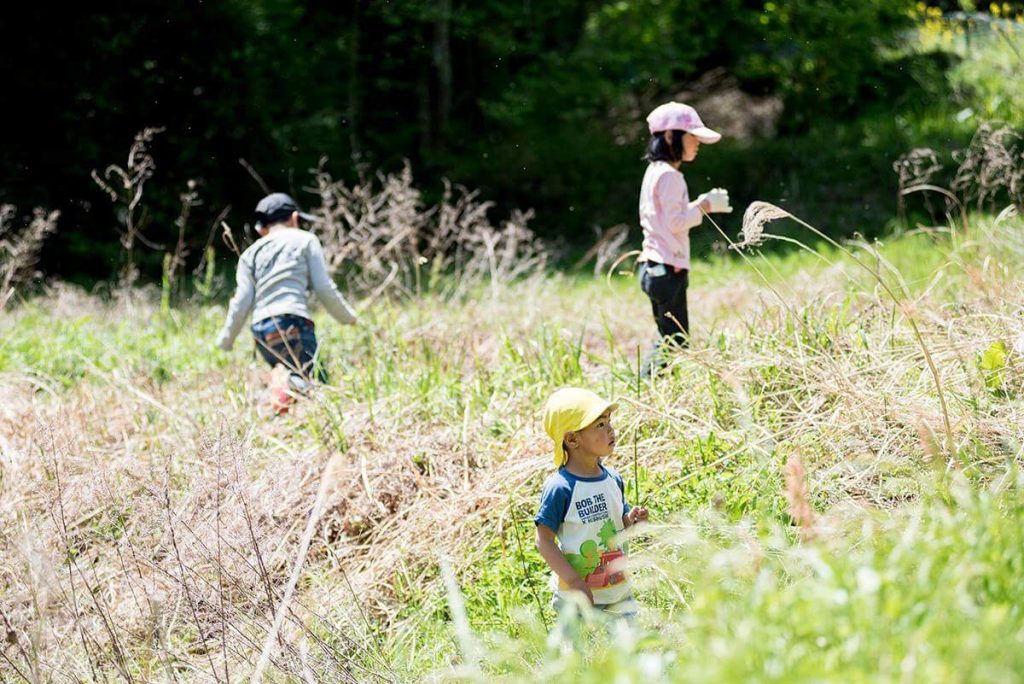 野草ワークショップ終わりました。
