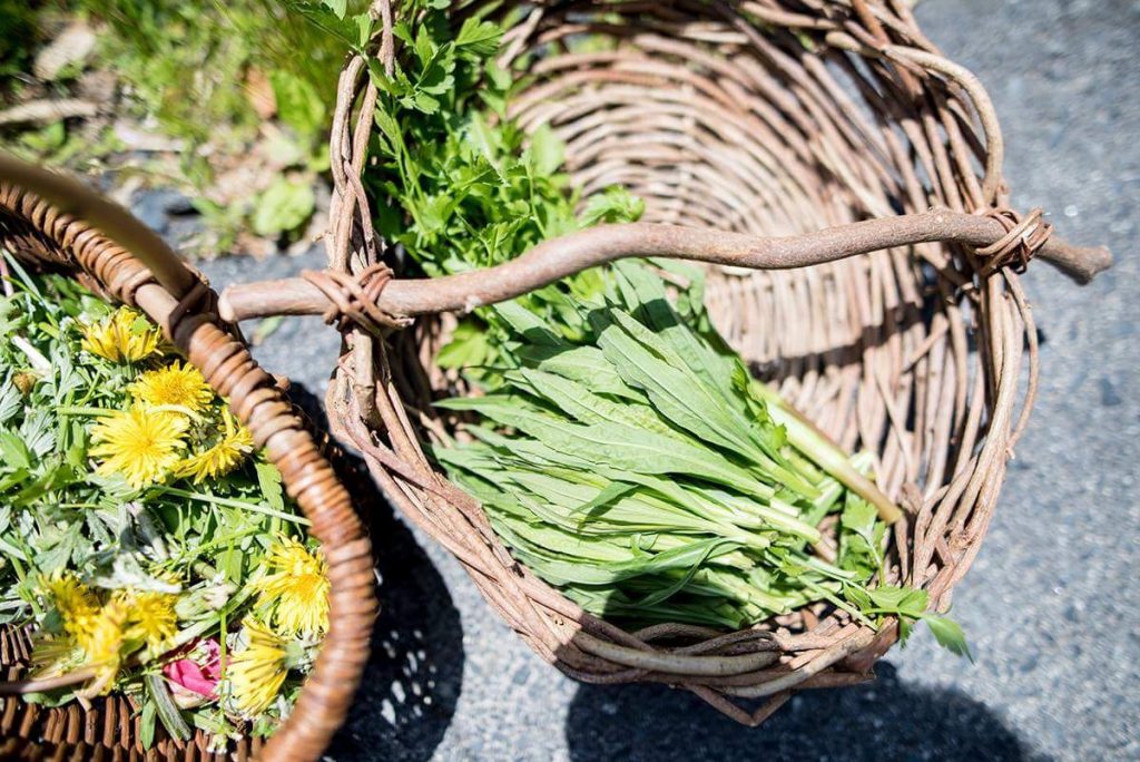 野草ワークショップ終わりました。