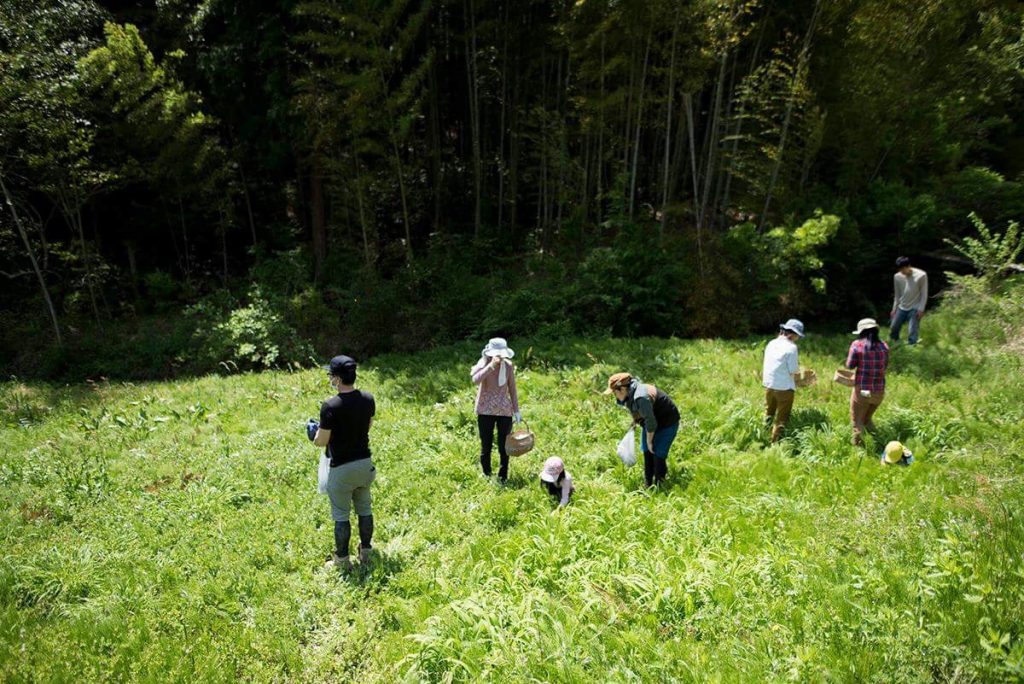 野草ワークショップ終わりました。