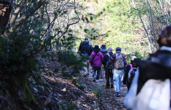 土岐高山城穴弘法歴史ツアー 土岐高山城跡の森 「里山わいわい広場」