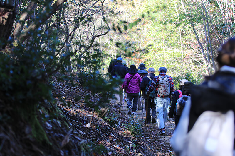 土岐高山城穴弘法歴史ツアー 土岐高山城跡の森 「里山わいわい広場」