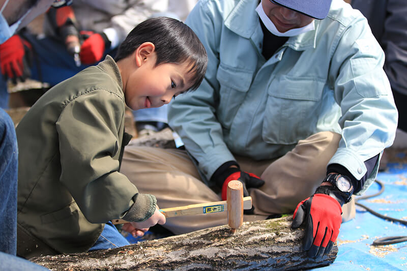 シイタケの菌打ち体験 土岐高山城跡の森 「里山わいわい広場」