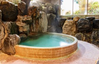 柿野温泉 鶯鳴荘