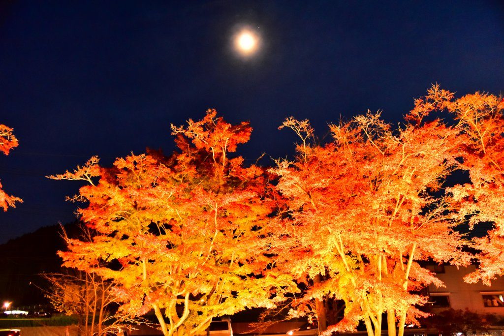 @10asrmmc14様 『無題』 撮影場所:曽木公園