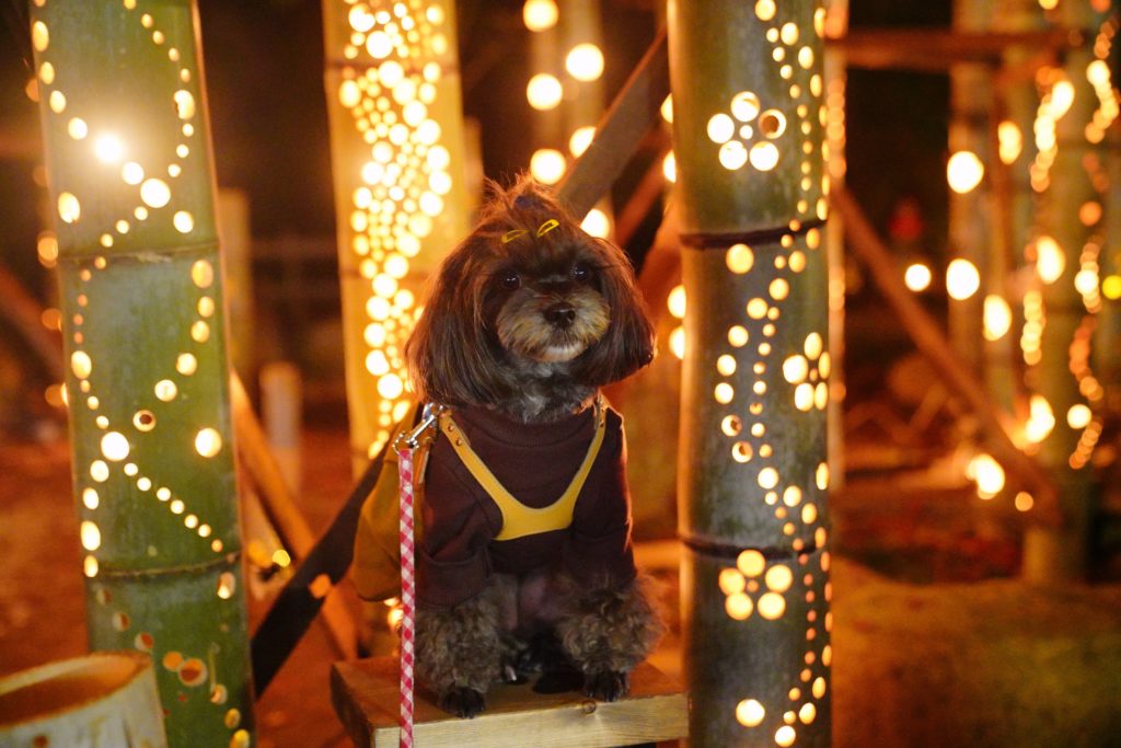 @char.0925様 『竹取物語』 撮影場所:穴弘法