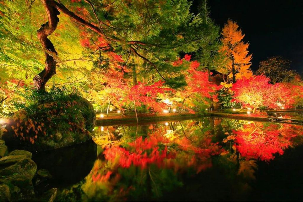 @takayoshi_ao様 『庭園の曽木公園』 撮影場所:曽木公園