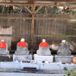 肥田瀧が洞石仏保存会