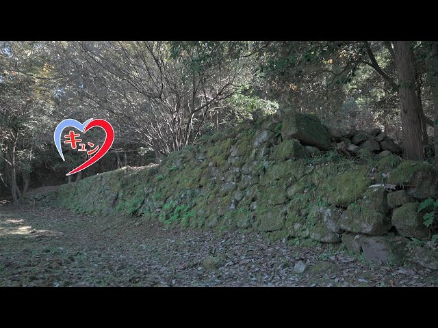 土岐ぶらキュン07