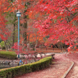Toki no Toki 土岐市観光大使が行く土岐の旅 曽木公園