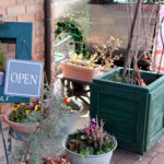 ル・ベルクール