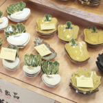 ㈱一久(遊陶ピア)