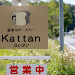 Kattan
