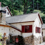 パスタ PINO ピーノ