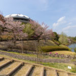 道の駅 土岐美濃焼街道 どんぶり会館