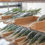 道の駅 土岐美濃焼街道 どんぶり会館