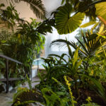 柿野温泉 八勝園湯元館