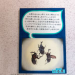 柿野観光ホテル つる屋