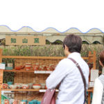 美濃焼伝統工芸品まつり2016