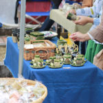 美濃焼伝統工芸品まつり2016