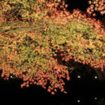 穴弘法もみじと100地蔵のライトアップ2017