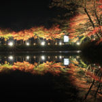 穴弘法もみじと100地蔵のライトアップ2017