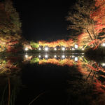 穴弘法もみじと100地蔵のライトアップ2017