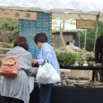 美濃焼伝統工芸品まつり2016