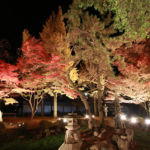 駄知「窯風の里」交遊フェア2016