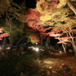 駄知「窯風の里」交遊フェア2016