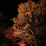 駄知「窯風の里」交遊フェア2016