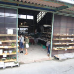 駄知どんぶりフェス2016