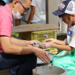 駄知どんぶりフェス2017